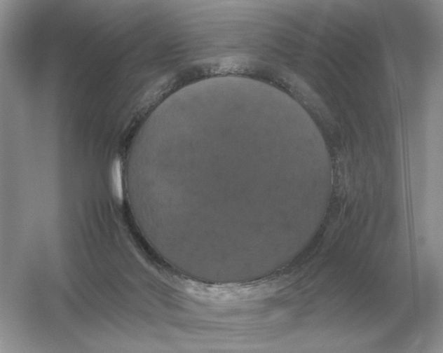 X0000054350022200508190140.png