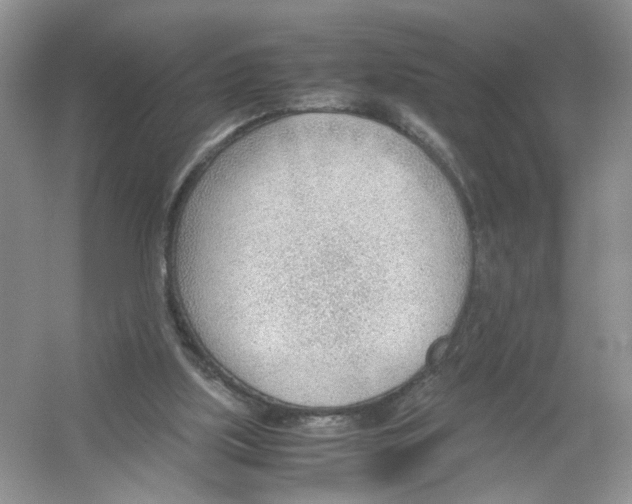 X0000054270059200508261927.png