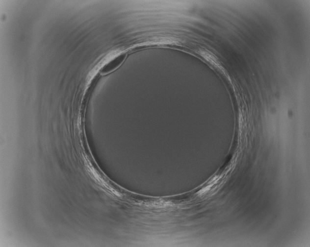 X0000054170797200508101758.png