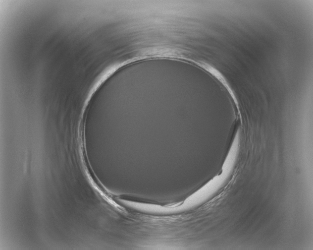 X0000054351389200508190117.png