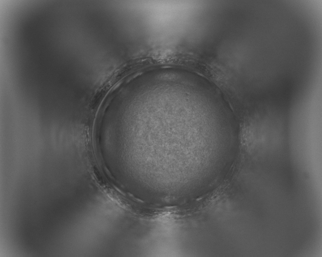 X0000052280470200507132033.png