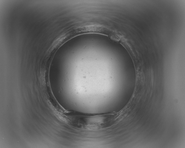 X0000055210154200508301331.png