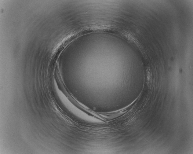 X0000054170684200508101800.png