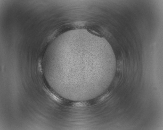 X0000055210238200508301330.png