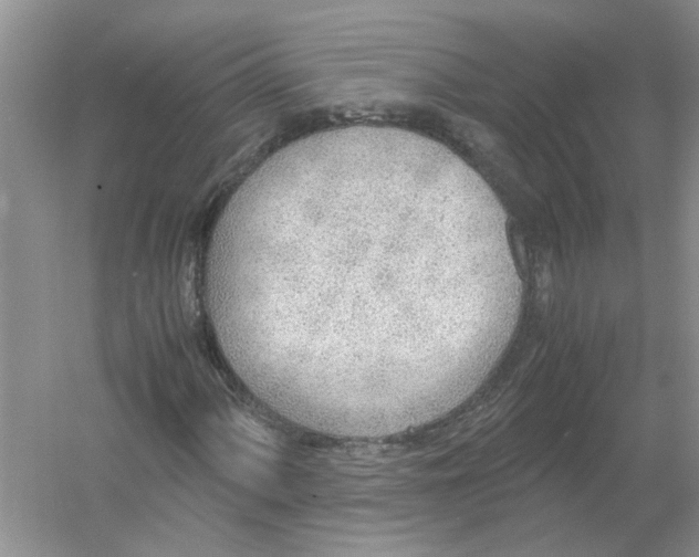 X0000054271060200508261910.png