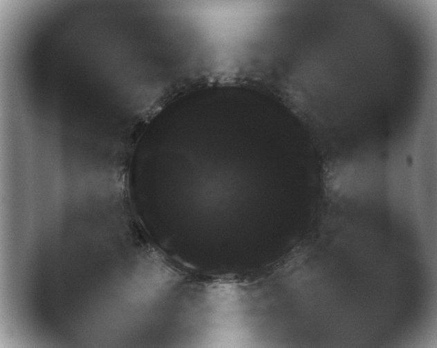 X0000038680661200409281324.png