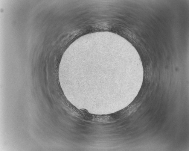 X0000054231201200508171501.png