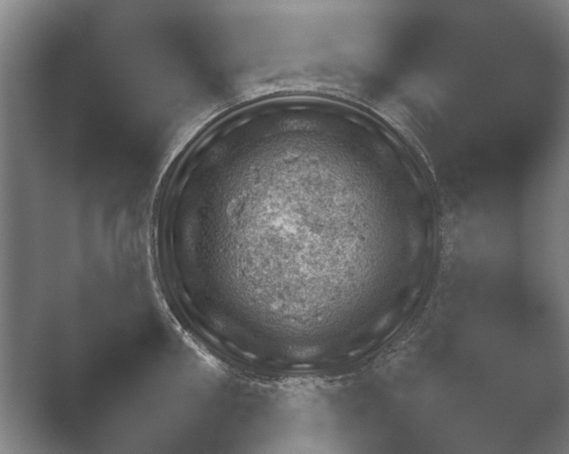 X0000052280906200507132025.png