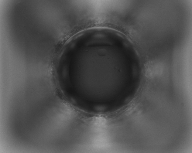 X0000054730509200508171855.png