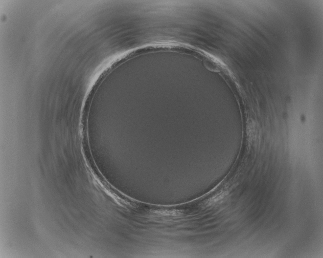 X0000054171327200508101750.png
