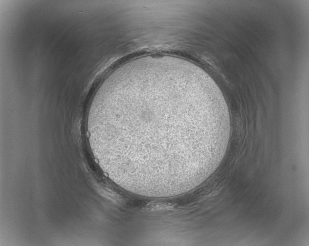 X0000054270491200508261920.png