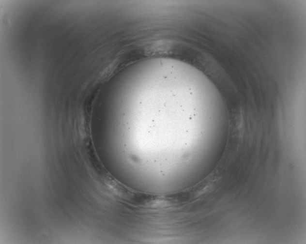 X0000054330224200508111927.png