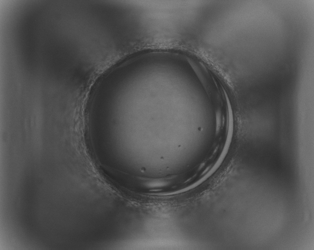 X0000048530721200503171510.png
