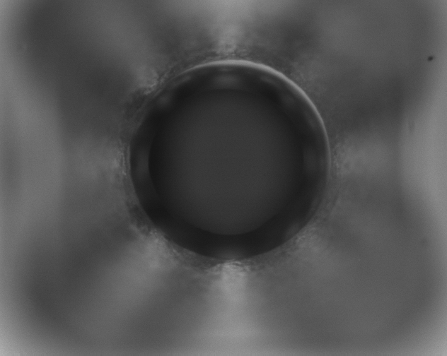 X0000054730272200508171859.png