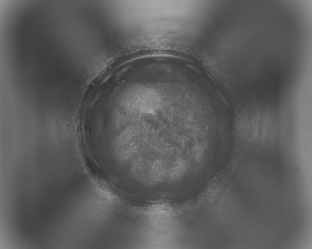 X0000052150398200507051957.png