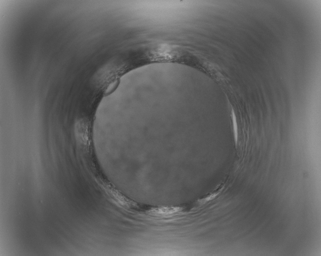 X0000054350331200508190135.png