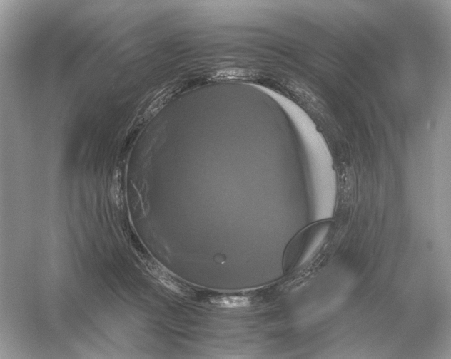 X0000054350361200508190134.png