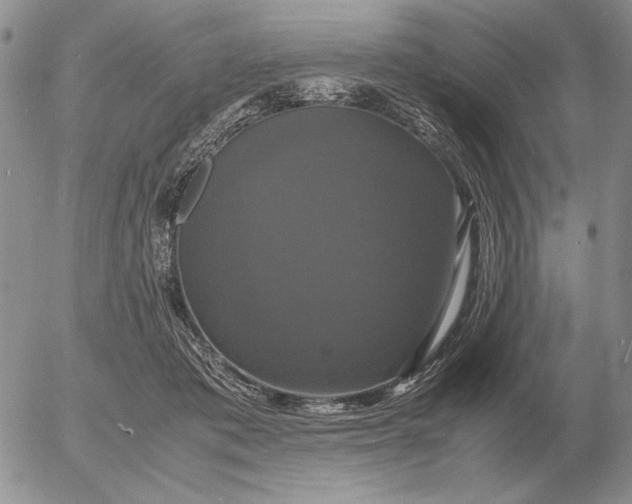 X0000054170413200508101804.png