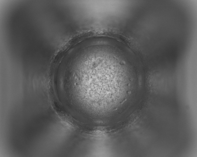 X0000052280496200507132032.png