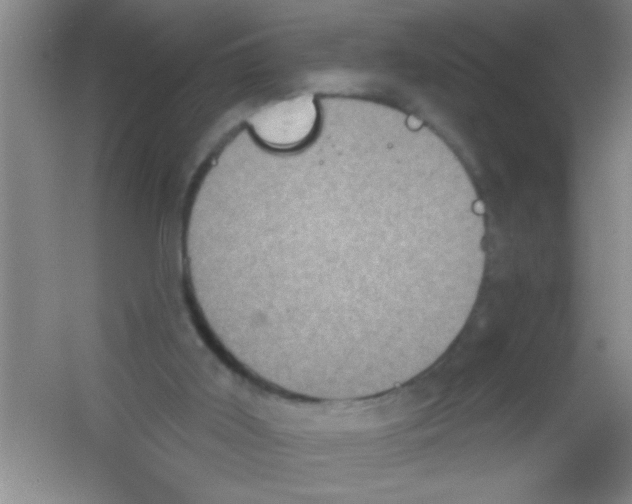X0000053460011200508112209.png