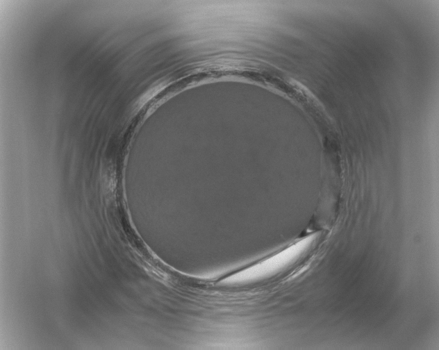 X0000054351065200508190122.png