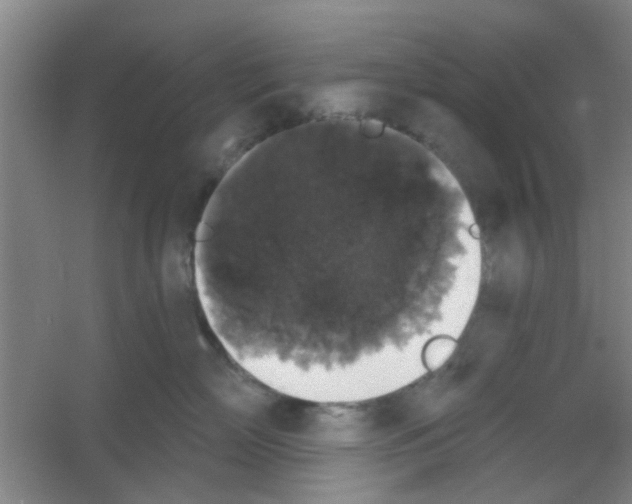 X0000053460718200508112157.png