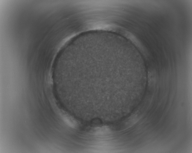 X0000053460628200508112158.png