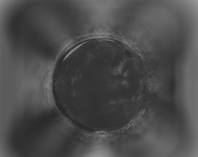 X0000047470053200503091609.png