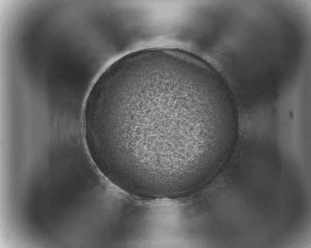 X0000048251478200503171810.png