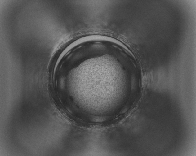X0000040040198200410070854.png
