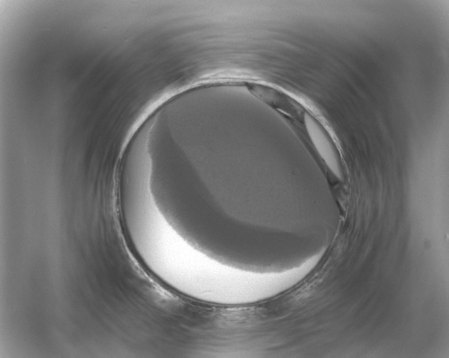 X0000054351390200508190117.png