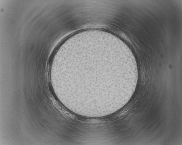 X0000054581124200508300053.png