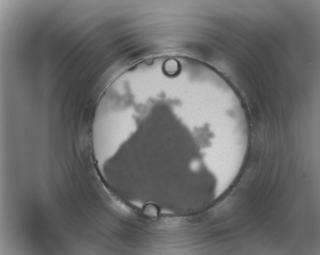 X0000053461385200508112146.png