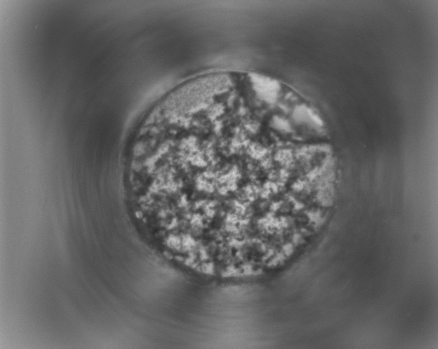 X0000053460149200508112206.png