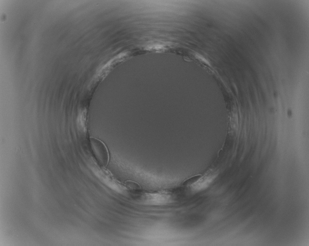 X0000054170286200508101807.png