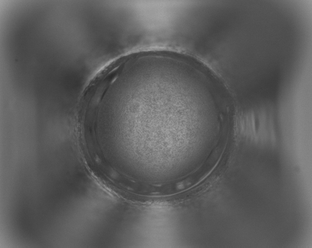 X0000052281452200507132016.png