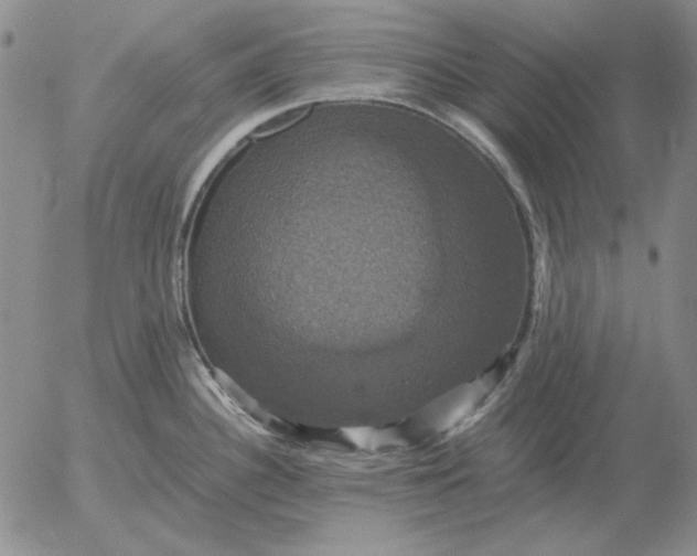 X0000054171340200508101750.png