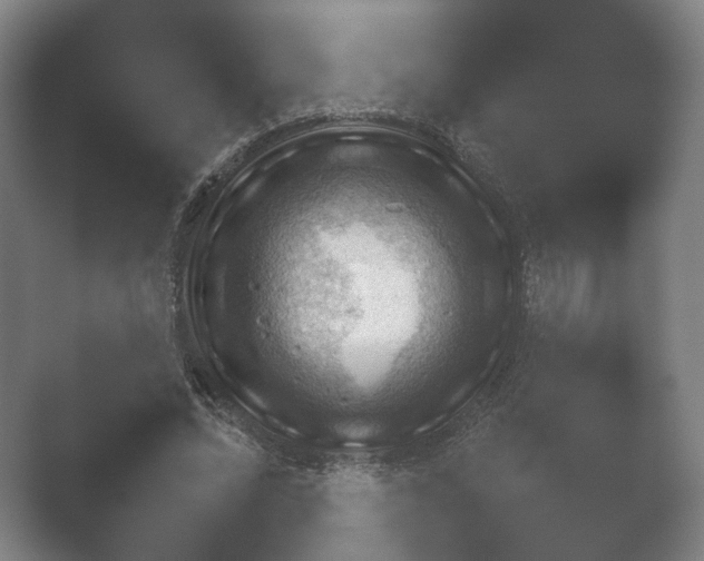 X0000052280684200507132029.png