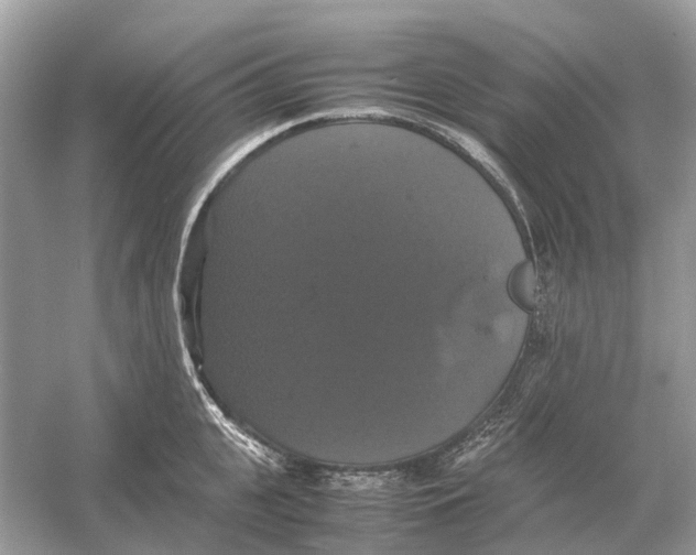 X0000054350951200508190125.png
