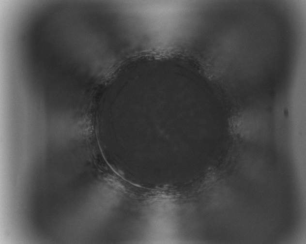 X0000046891010200502151151.png