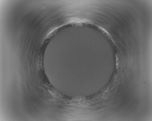 X0000054350775200508190127.png