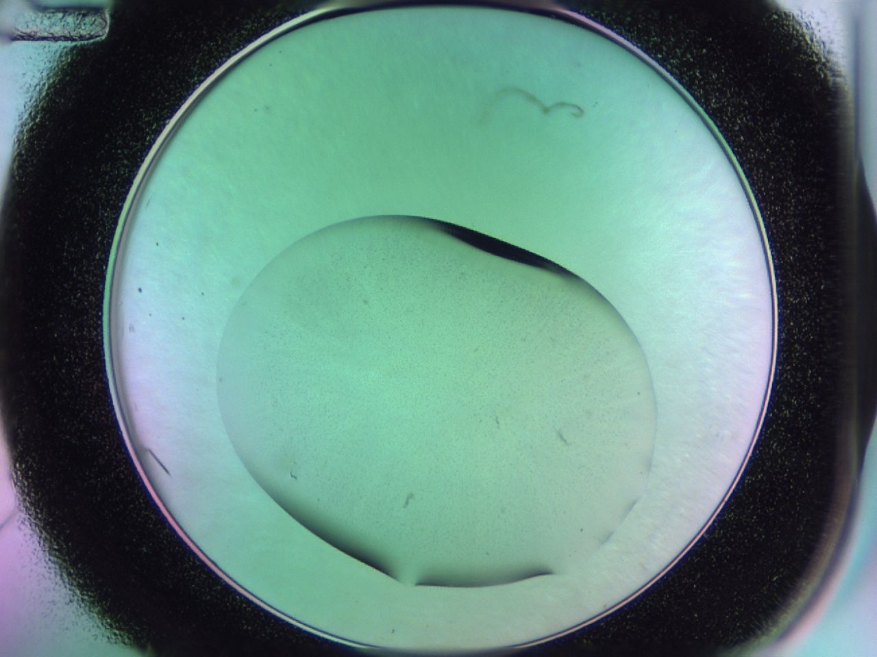 01gi_C12_ImagerDefaults_0.jpg