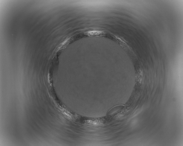 X0000054350763200508190128.png