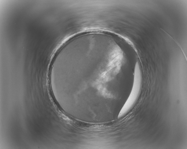 X0000054351279200508190119.png