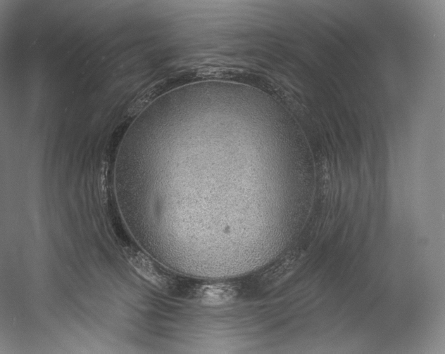 X0000055210275200508301329.png