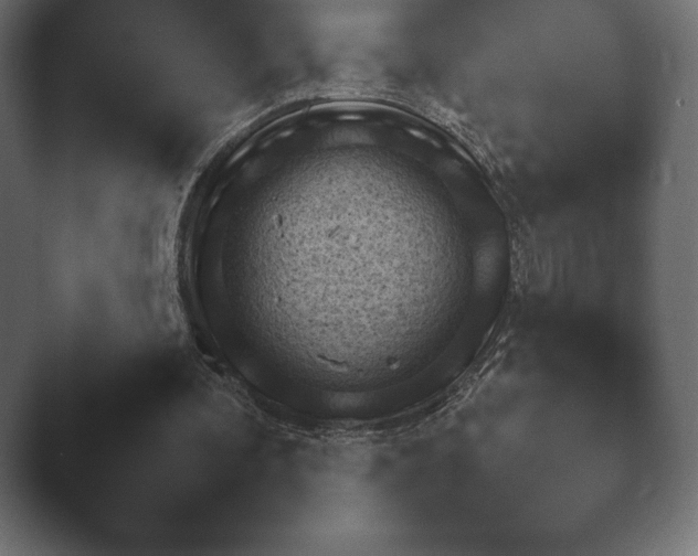 X0000048530292200503171518.png