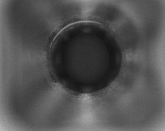 X0000054730380200508171858.png