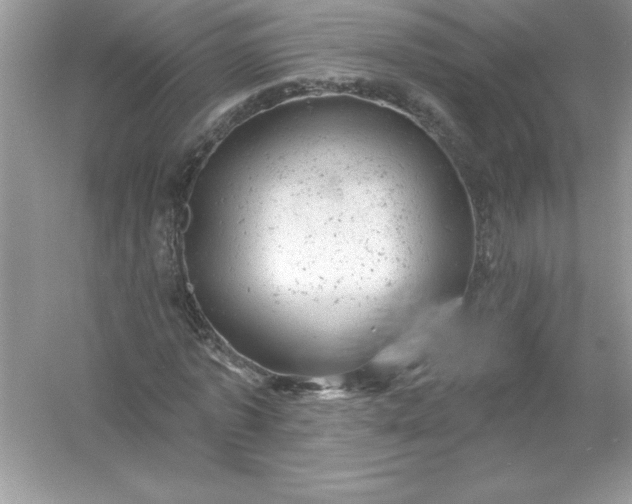 X0000054300773200508042309.png