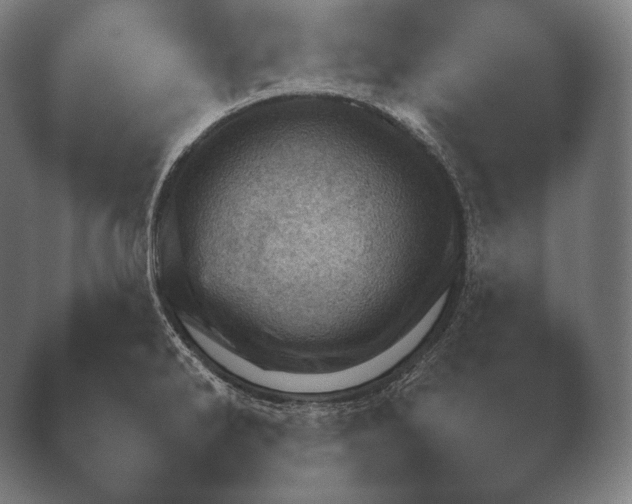 X0000038851286200410131818.png