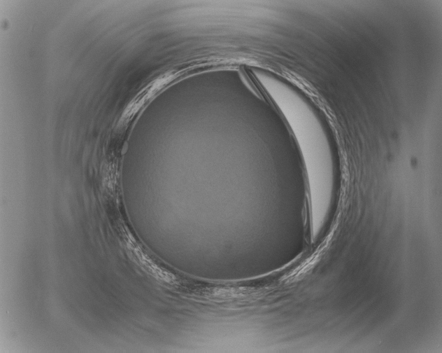 X0000054170985200508101755.png